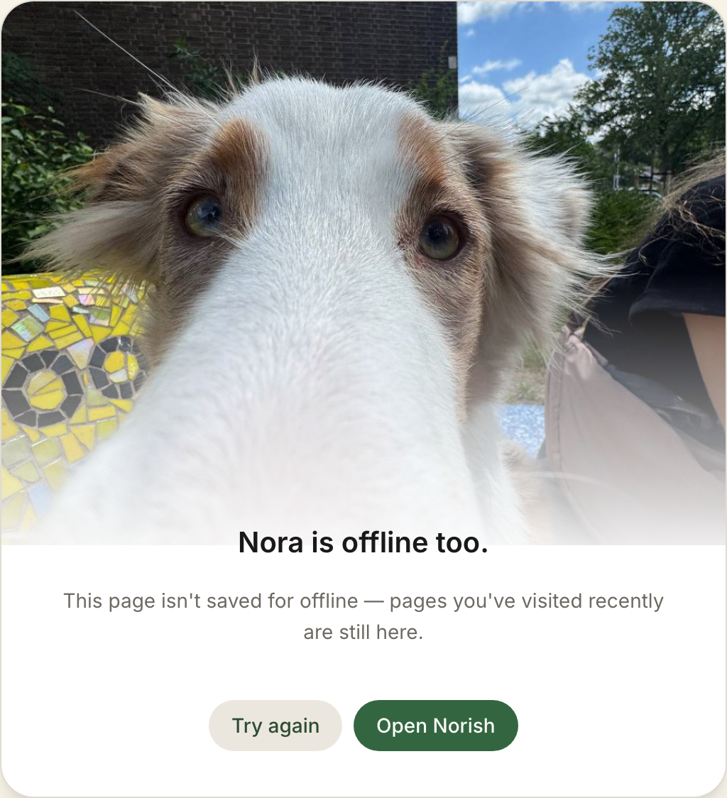 The offline unavailable screen
